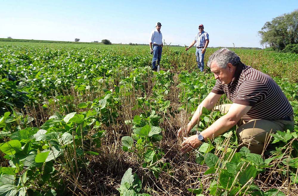 La agricultura, fundamental para erradicar la pobreza y proteger el ambiente